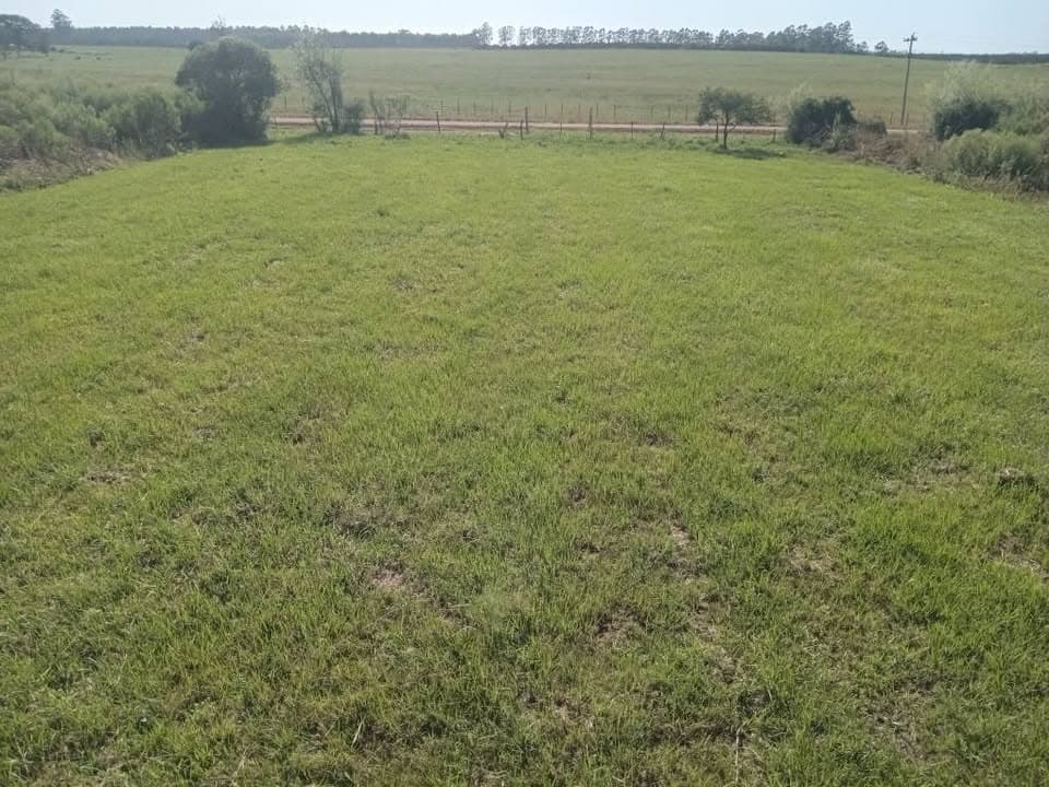 ESPECTACULARES TERRENOS a menos de 2 km de Labougle. Aptos permuta/financiación