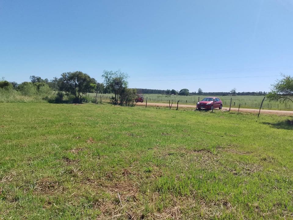 ESPECTACULARES TERRENOS a menos de 2 km de Labougle. Aptos permuta/financiación