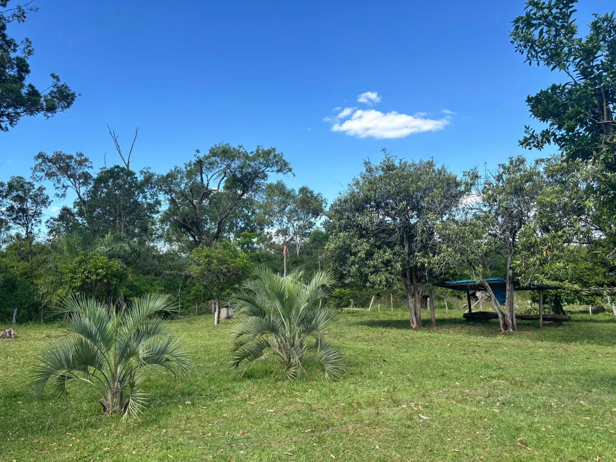 CHACRA EN YAPEYÚ | Con casa y acceso al río