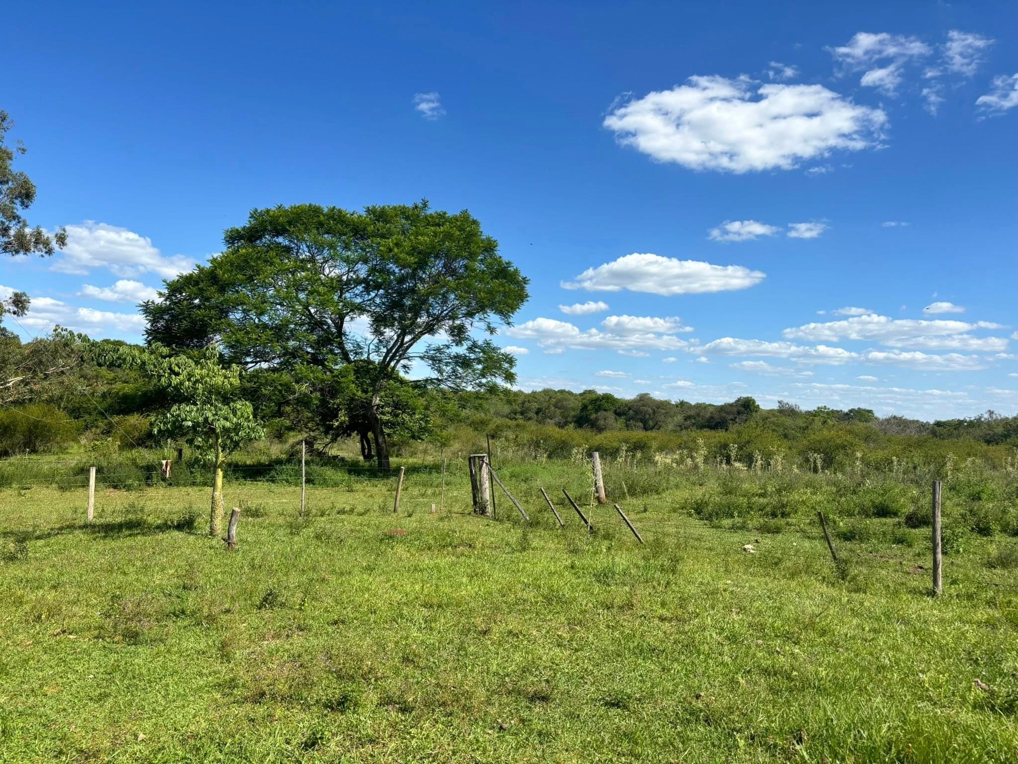 CHACRA EN YAPEYÚ | Con casa y acceso al río