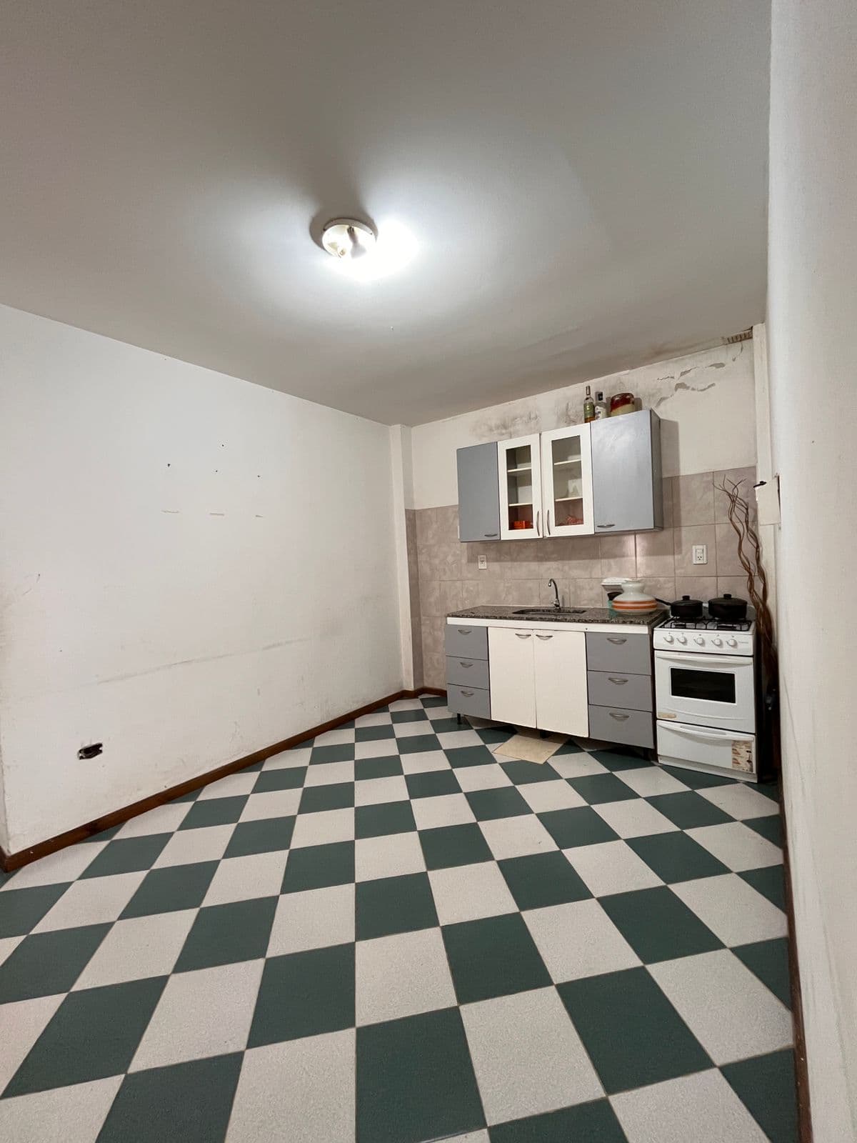 DEPARTAMENTO CENTRICO EN PLANTA BAJA